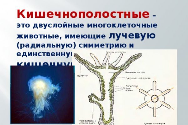 Кракен маркет это